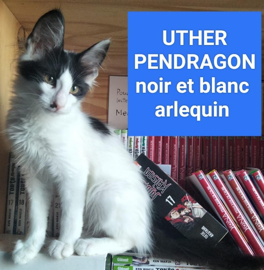 UTHER PENDRAGON DE ST PAER