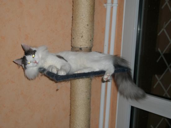 Lilly en hivers